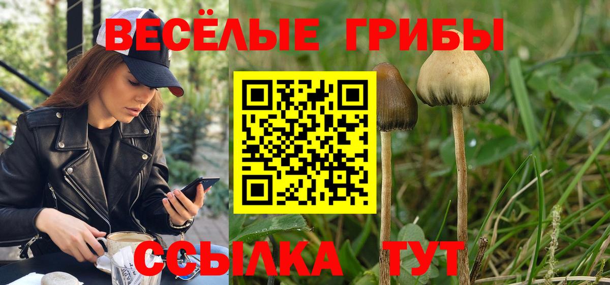Псилоцибиновые грибы прущие грибы  Псилоцибиновые грибы MAGIC MUSHROOMS  Белгород  Вход с VPN 
