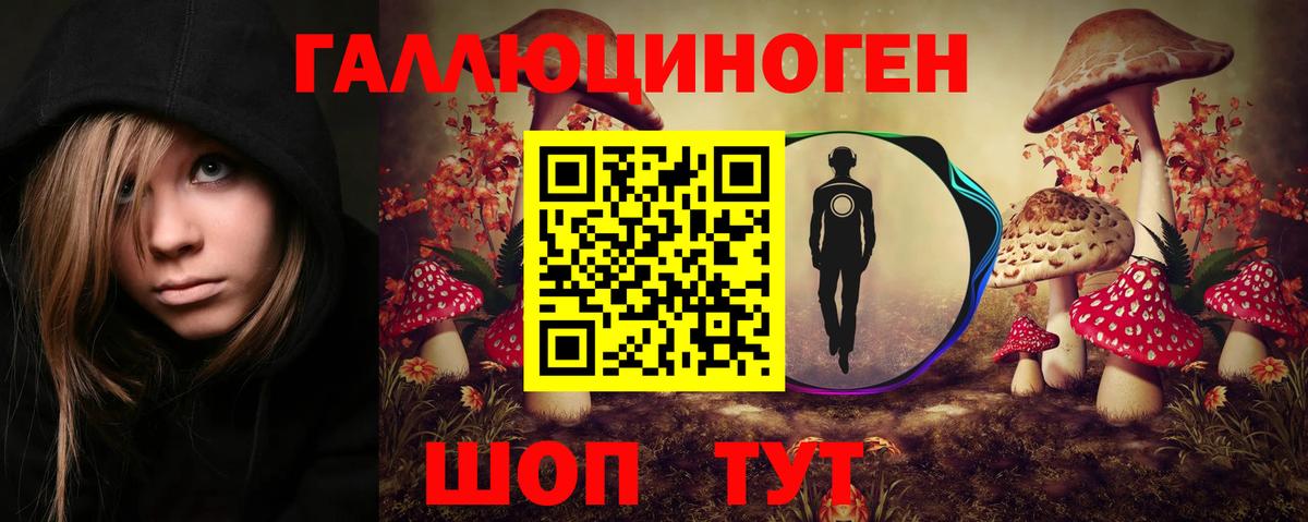 Галлюциногенные грибы прущие грибы Белгород